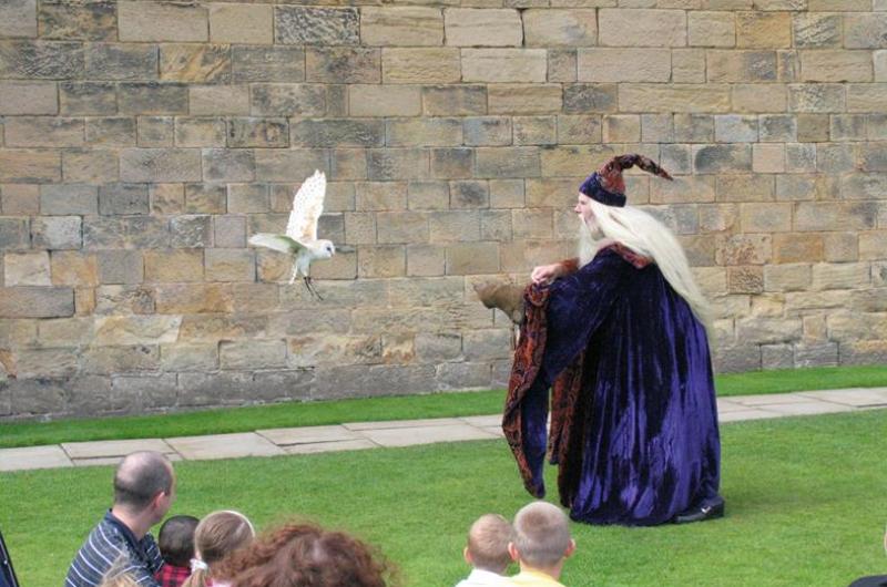 Our spectacular shows have included broomsticks, magical illusions and real owls!