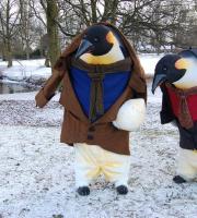 You'll be filled with wonder when you meet these giant black and white gentlemen from the South Pole! Fantastic walkabout penguin performances.