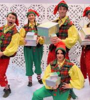 Christmas Elves! Santa's little helpers are great for grottos - they help Santa hand out gifts, and can even take pictures of the visitors for a precious keepsake!